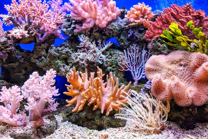 Aquarium filter equipment on a tank